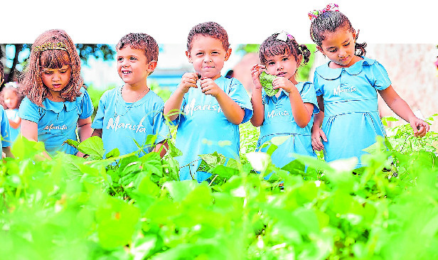 Foto: Marista/ Divulgação