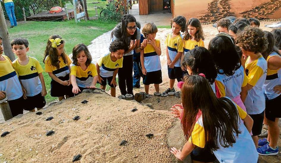 A Escola Monteiro promove atividades para que o aluno  conheça a si mesmo e ao outro para tornar o convívio em sociedade mais harmonioso e produtivo. No currículo, muitas atividades para exercitar as características exigidas do profissional do século XXI